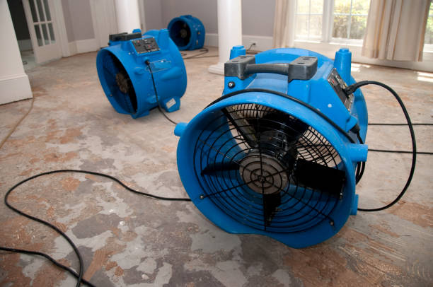 Best Residential water damage restoration  in Lacoste, TX