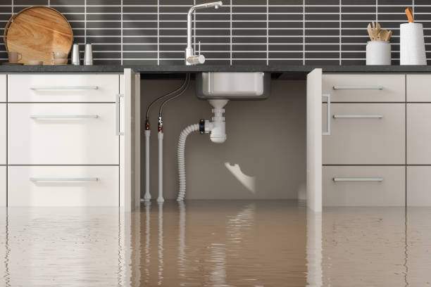 Best Residential water damage restoration  in Lacoste, TX